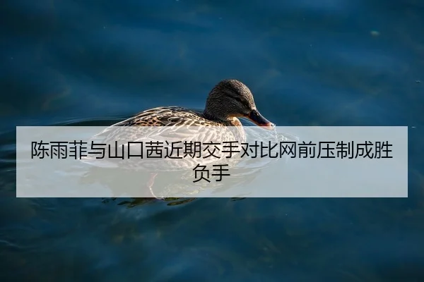 陈雨菲与山口茜近期交手对比网前压制成胜负手